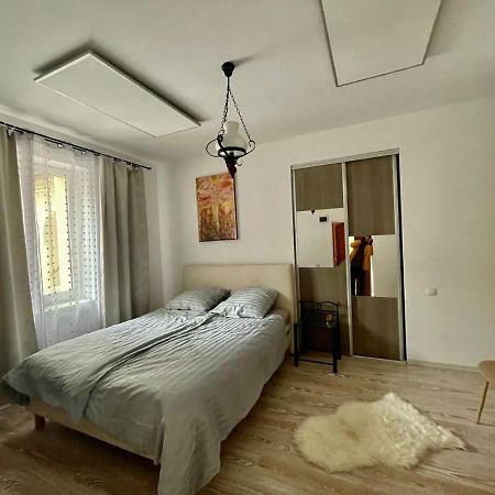 Old Town Apartment Sibiu Extérieur photo
